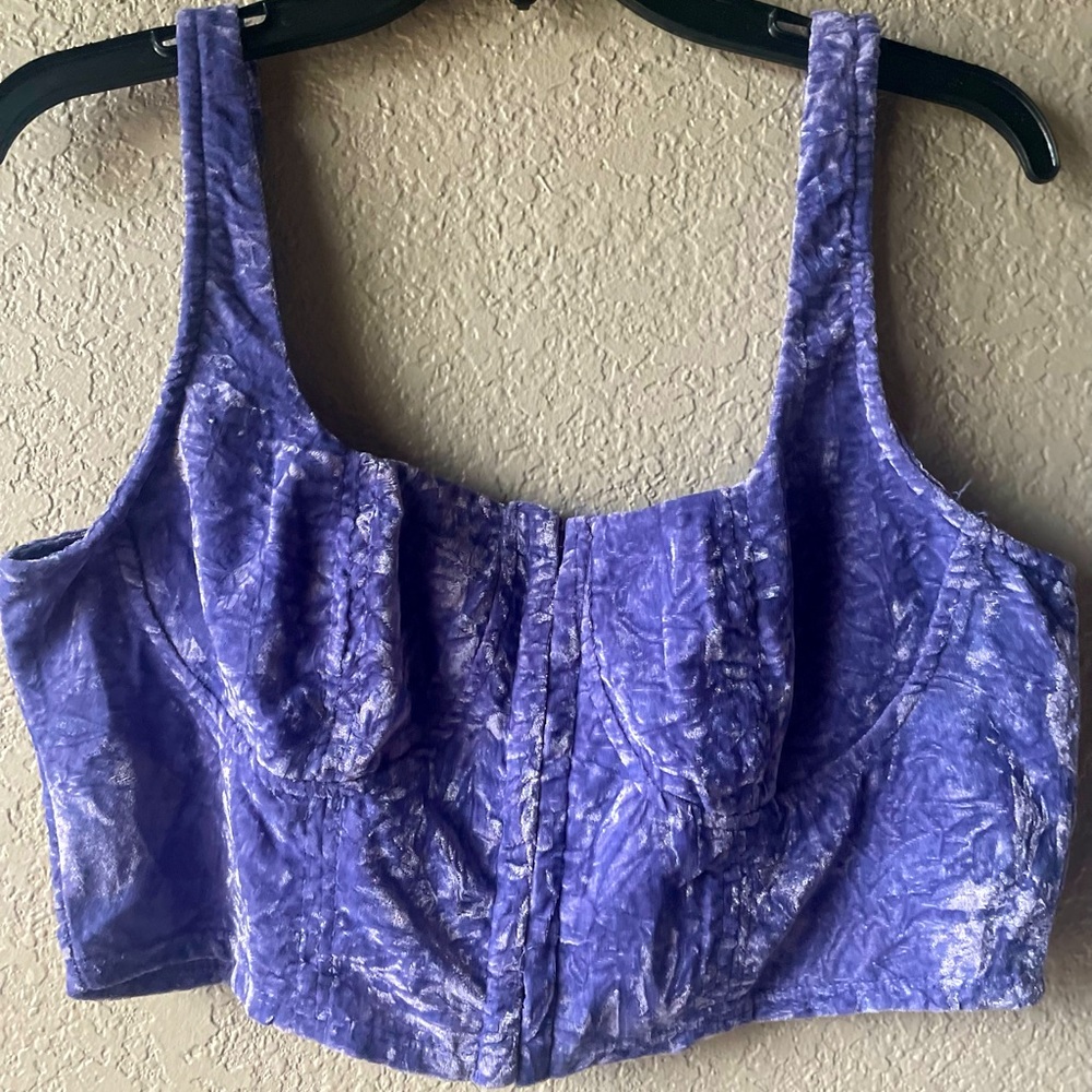 Brand New: Wild Fable Purple Corset Top!